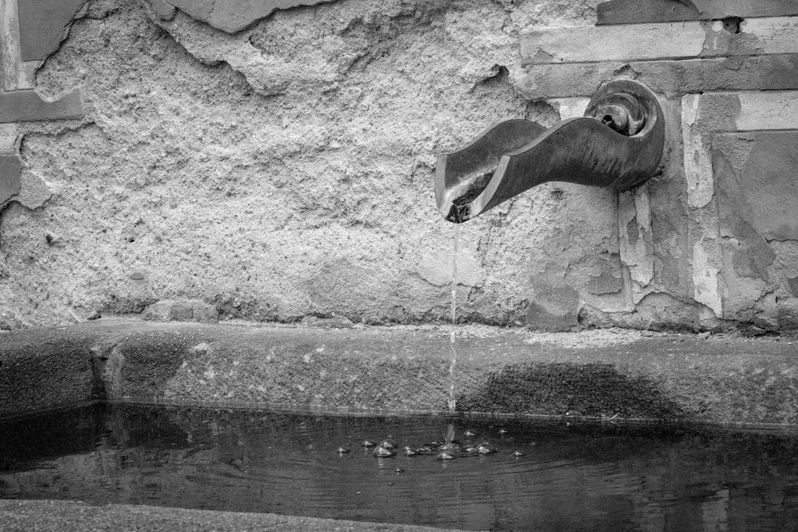 Prague_Water Spout_2.jpg