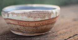 Right Livelihood 1