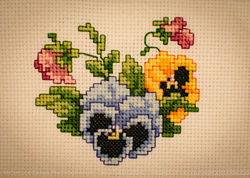 Flowers_Pansies