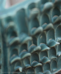 Dragon Scale Closeup