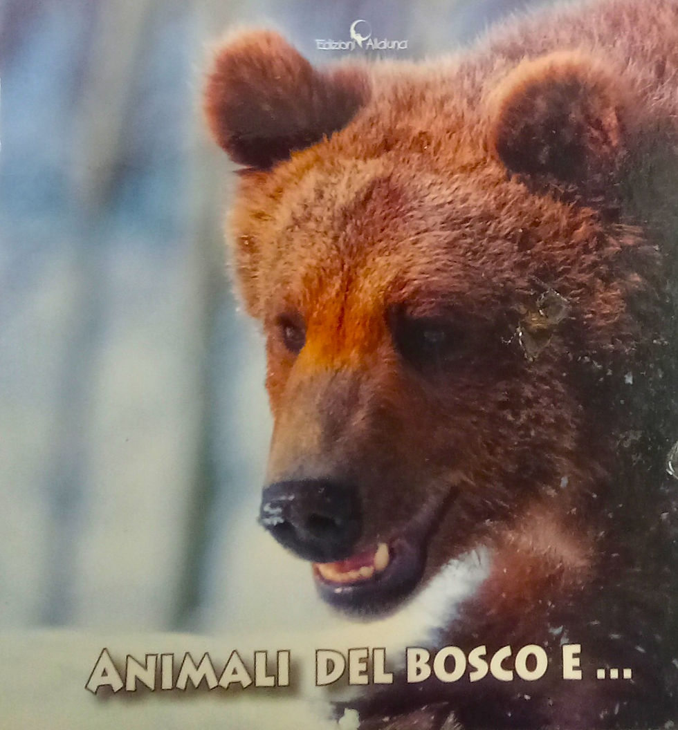 libro Amici del bosco