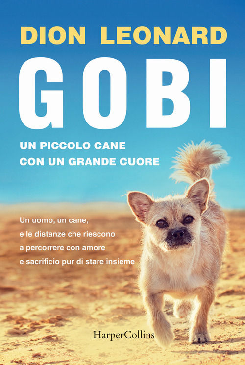 libro Gobi