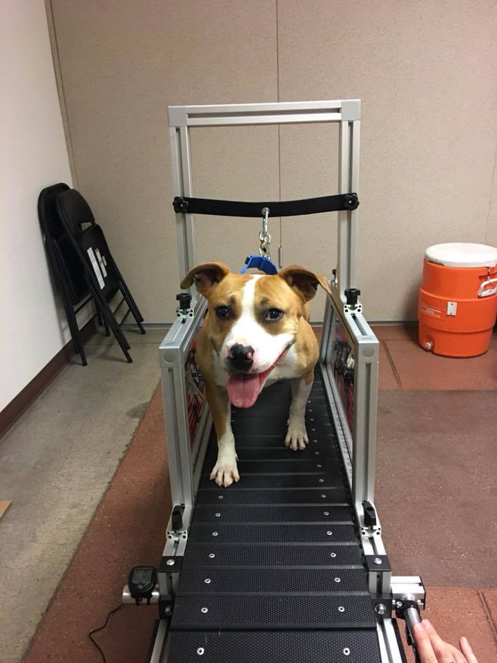 SHELTER GRANTS onelove