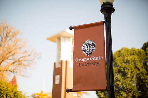 OSU Flags