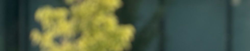 Banner.JPG