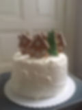 Double Chocolate Forest Fruit Christmas Cake