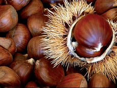 Sapori d'autunno: Le castagne