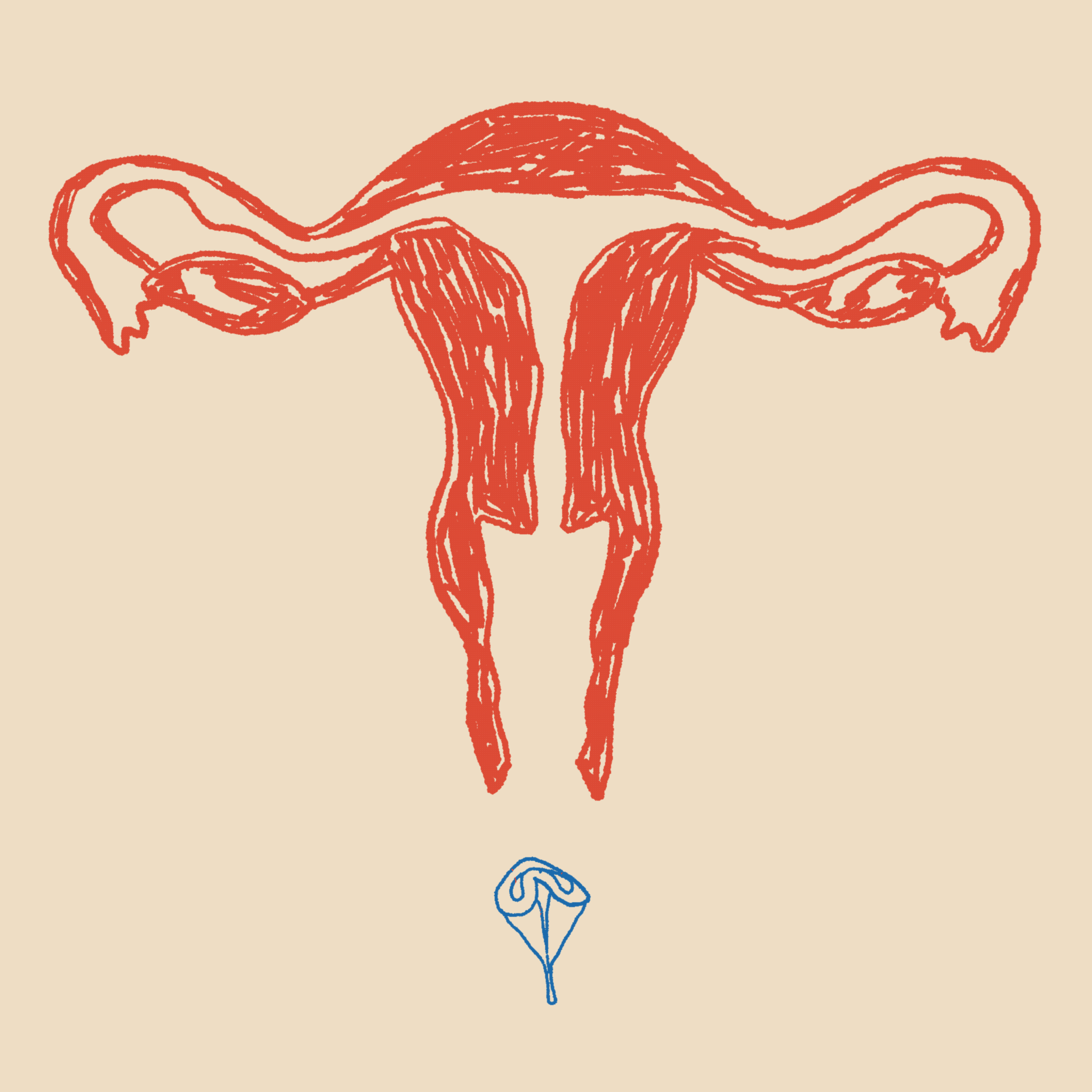 Untitled-Artwork (9).gif