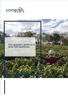 Libro. Modelo de Gestión Competitividad