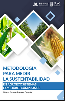 Libro. Modelo de Gestión Competitividad