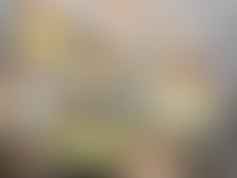 Opération fromage 2025