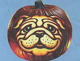 IMG_9994_edited_edited_edited_edited_edi