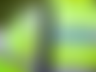 Back view of a person wearing a neon yellow jacket with reflective stripes labeled "PARAMEDIC" in green text, standing outdoors.