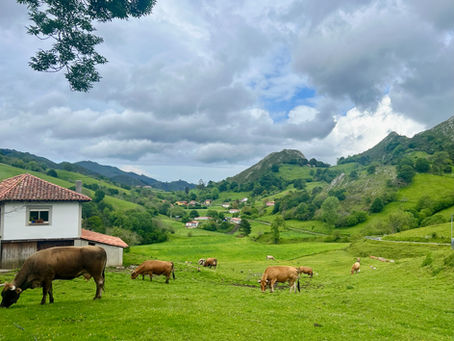 Asturian countryside