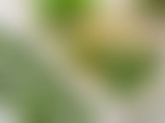 Freezing Herbs in an Ice Cube Tray?