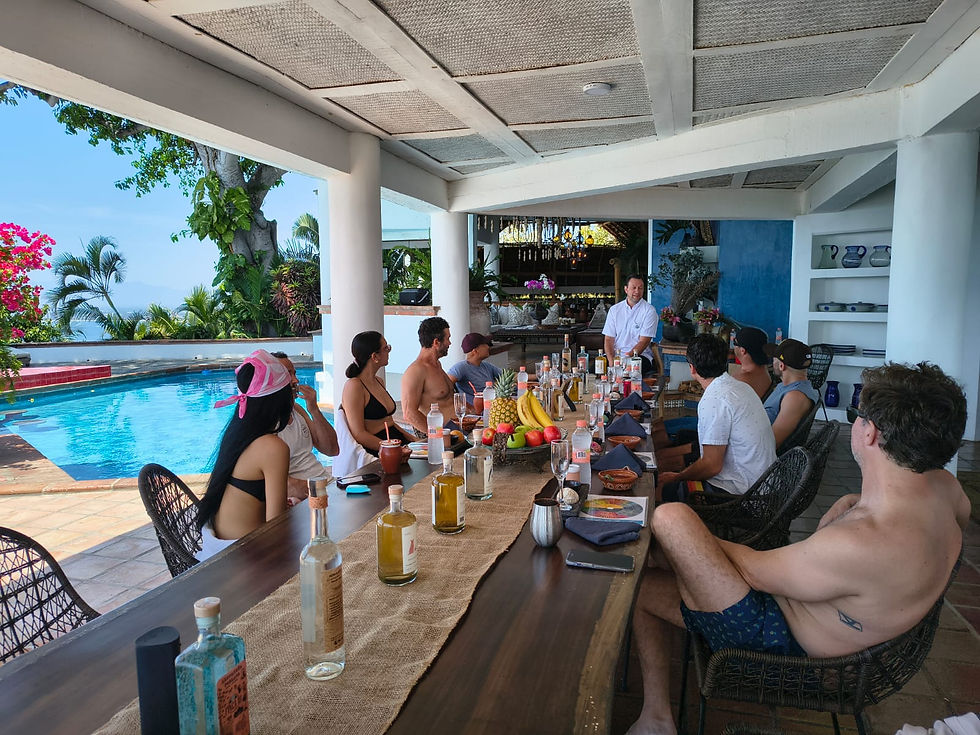 Puerto Vallarta Private Villa Tequila Tastings by Finca 18.jpeg