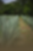 Puerto Vallarta Tequila Tour.png