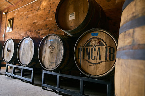 Finca 18 Agave Spirits Distillery Puerto Vallarta.jpg