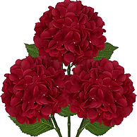 717MnsdxpdL._AC_SL1500_.jpg