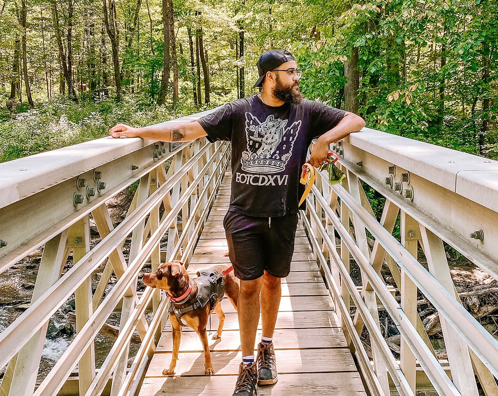 Man and dog stand on bridge in forest