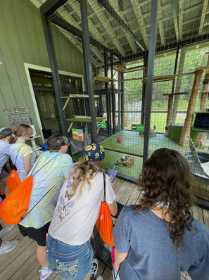 Learning about our native animals.