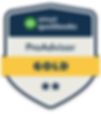 Gold Tier Badge.png