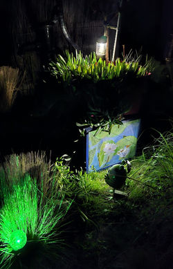 composition nature extérieur8