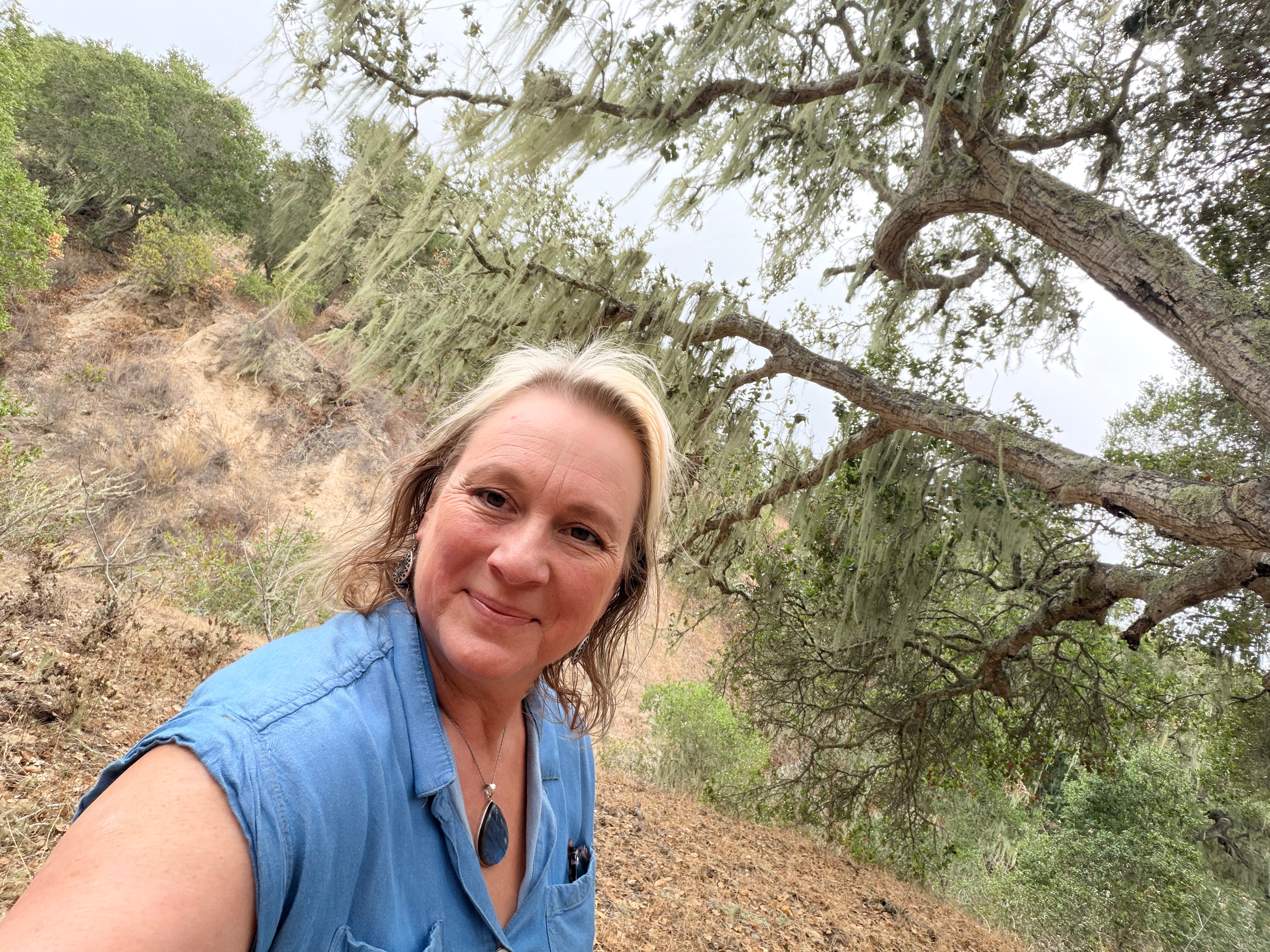 Writer: mystichealthinfo