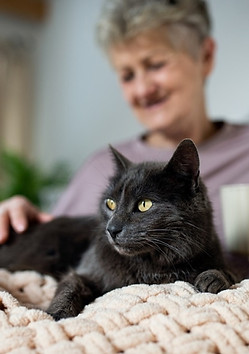 older woman cat.jpg