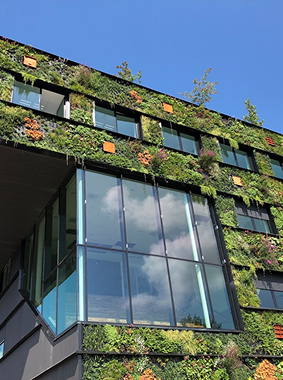 ImageWithFallback (7).png