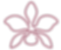 Flow-isolada-01.png