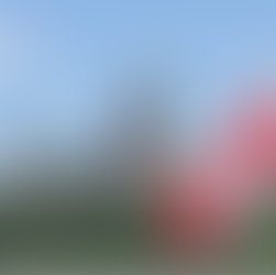 Do you really need an Immigration Lawyer?