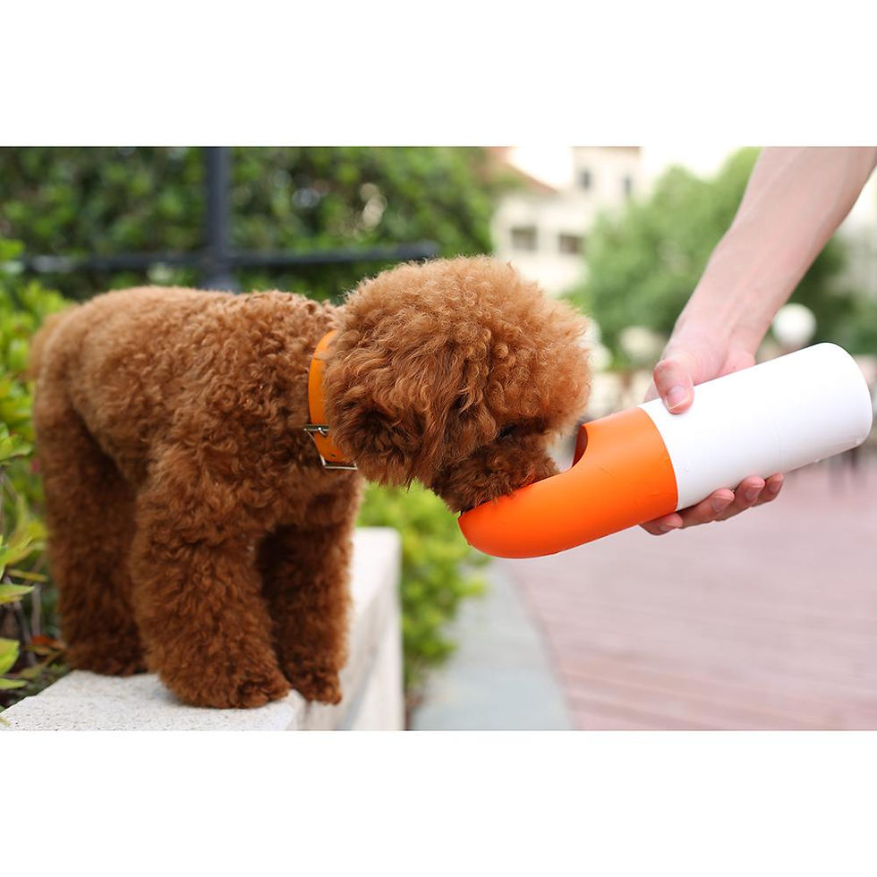 Thumbnail: Instachew Rover Pet Travel Bottle, Dog Water Bottle