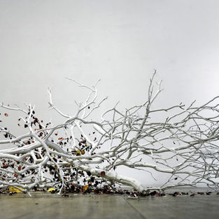 White branches, petals and butterflies are heaped on the floor