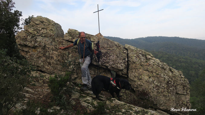 44a Travessada a les Gavarres - Vullpellac- 30-10-2022