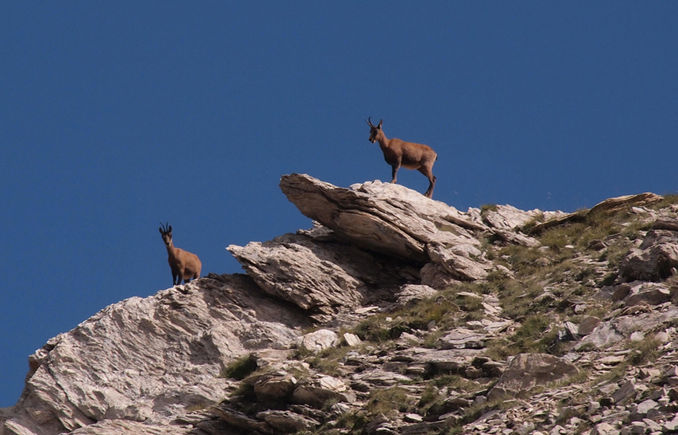 Coma Mitjana - Bastiments (I). 14-08-2016