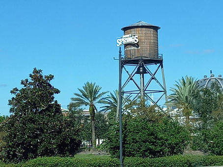 A tall wooden water tower marked with a white Disney Springs sign rises above lush green trees and palm trees under a bright blue sky. The tower stands on a black metal frame with a hanging bell beneath it. The scene captures the welcoming landmark at the entrance of Disney Springs on a clear, sunny day.