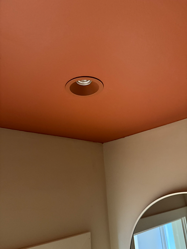 downlight i samme farge som tak