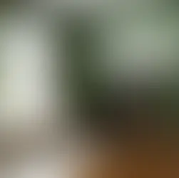 Hívjak festőt, vagy megcsináljam én?