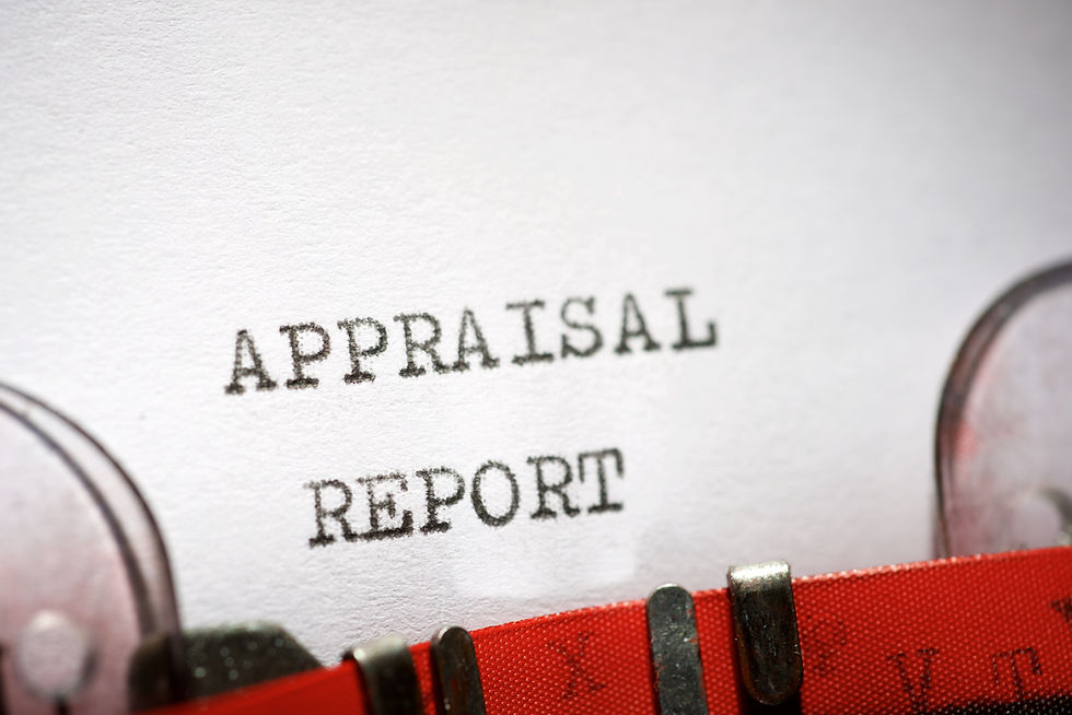 Appraisal Report