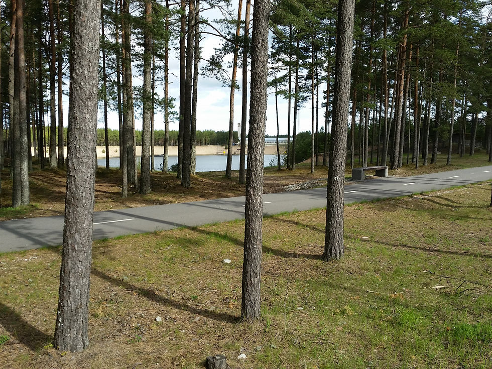 20150514_095157.jpg