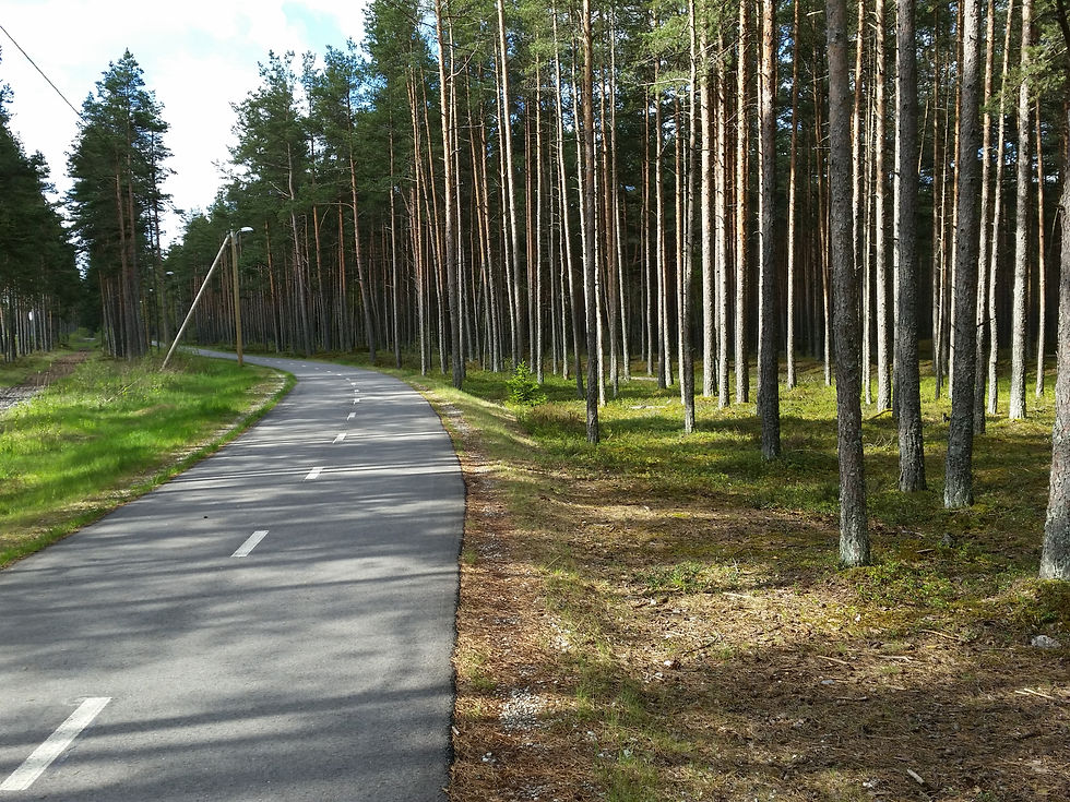 20150514_095247.jpg