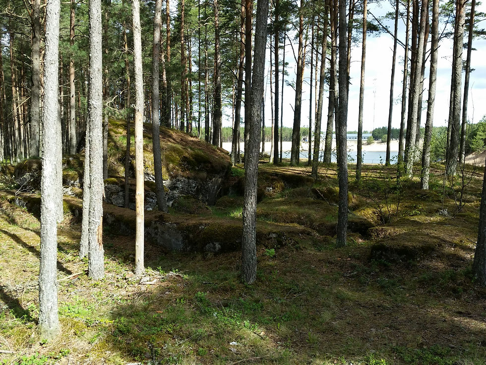 20150514_095242.jpg
