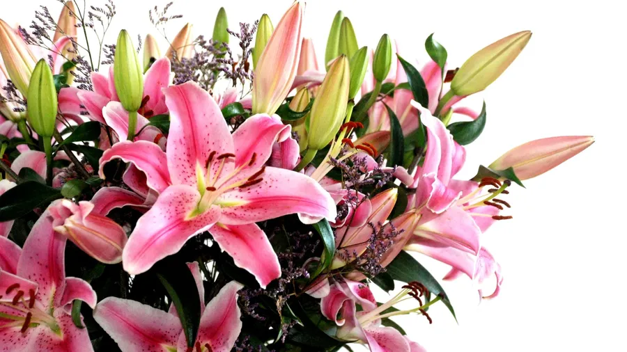 Floral Subscription - 3 months