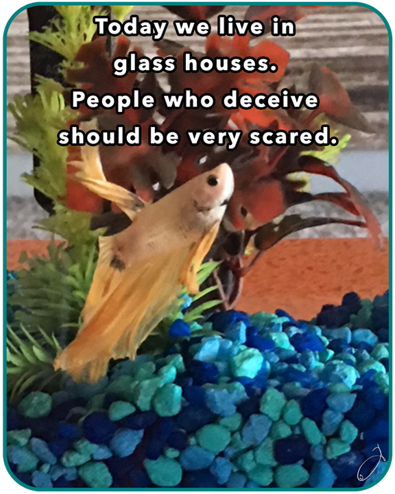 Today we live in glass houses. People who deceive should be very scared.