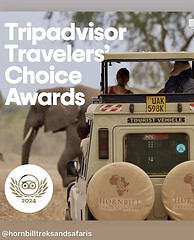Hornbill Trip Advisor award 2024.jpeg