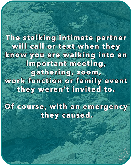 The Stalking Partner, Poking