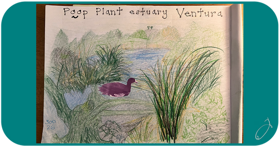 Poop Plant Estuary Ventura