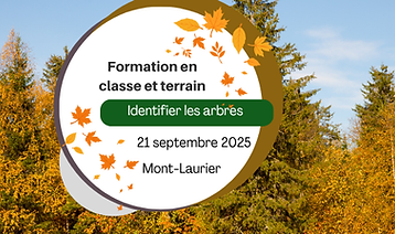 Identification arbres.png