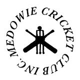 medowie logo_edited.png